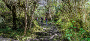 Classic Inca Trail to Machupicchu 4 Days