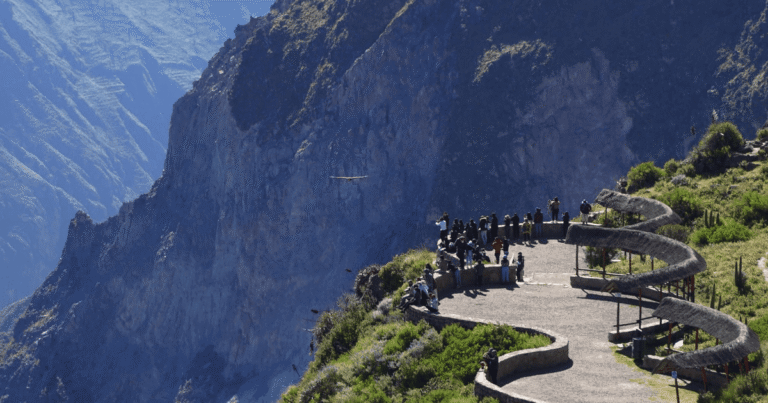 Colca Canyon Tour 1 Day