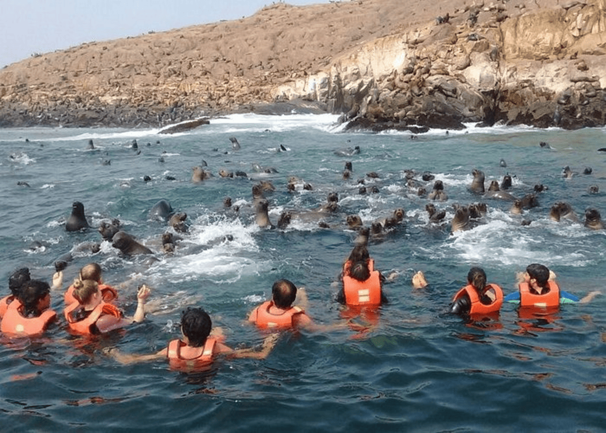 Tour to Palomino Island 1 Day