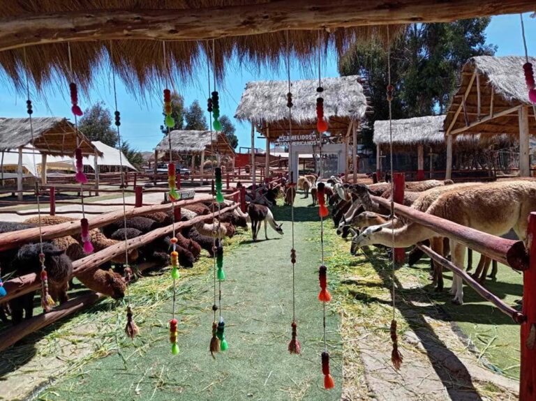 Sacred Valley & Machu Picchu – Alpaca Farm 3 Days