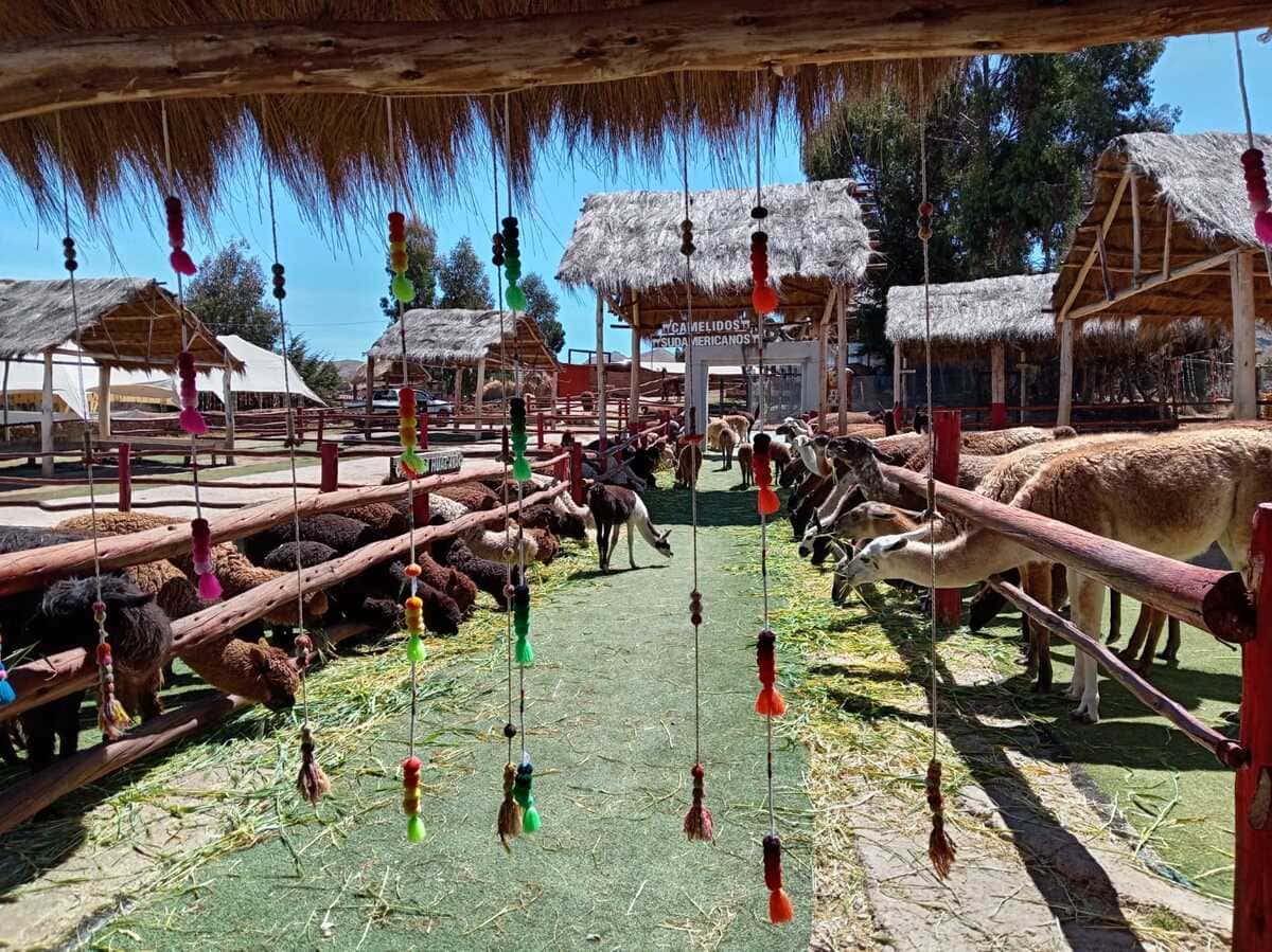 Sacred Valley & Machu Picchu – Alpaca Farm 3 Days